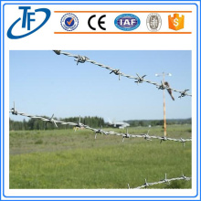 Barbed Wire factory
